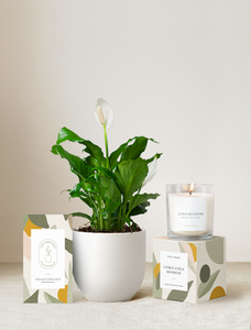 Lula's Garden Plant Gift Set