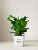 Custom Text Forever Remembered Peace Lily Plant - Image 