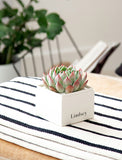 Personalized Garden