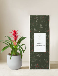 Christmas Red Bromeliad Plant & Mister