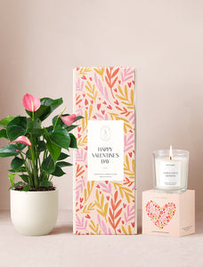 Pink Anthurium Plant & Soy Candle & Matches