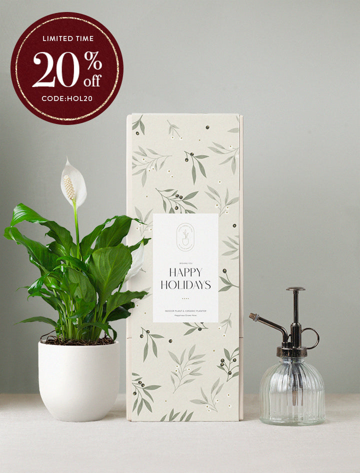 Holiday Peace Lily Plant & Mister