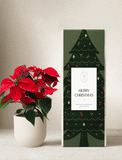 Christmas Plants