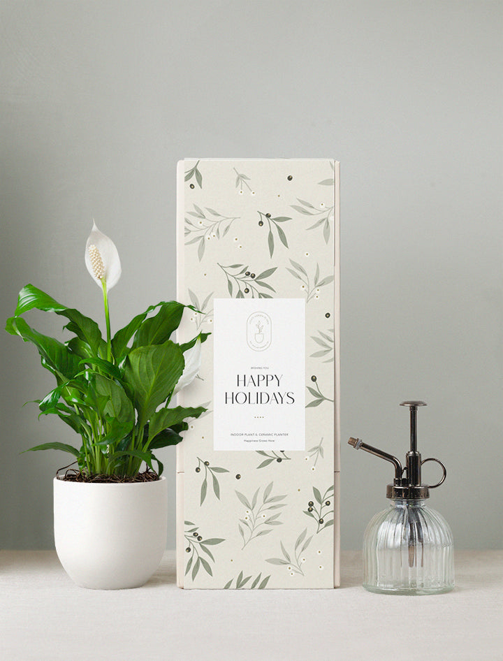 Holiday Peace Lily Plant & Mister