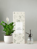 Holiday Peace Lily Plant & Mister