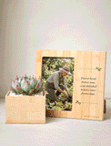 Bamboo succulent planter and matching photo frame with a sympathy quote, featuring a green and red echeveria plant. - Image 