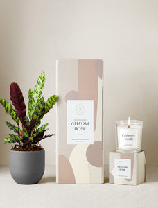 Welcome Home Plant Gift Set