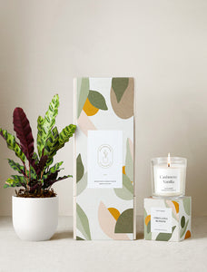Lula's Garden Plant Gift Set