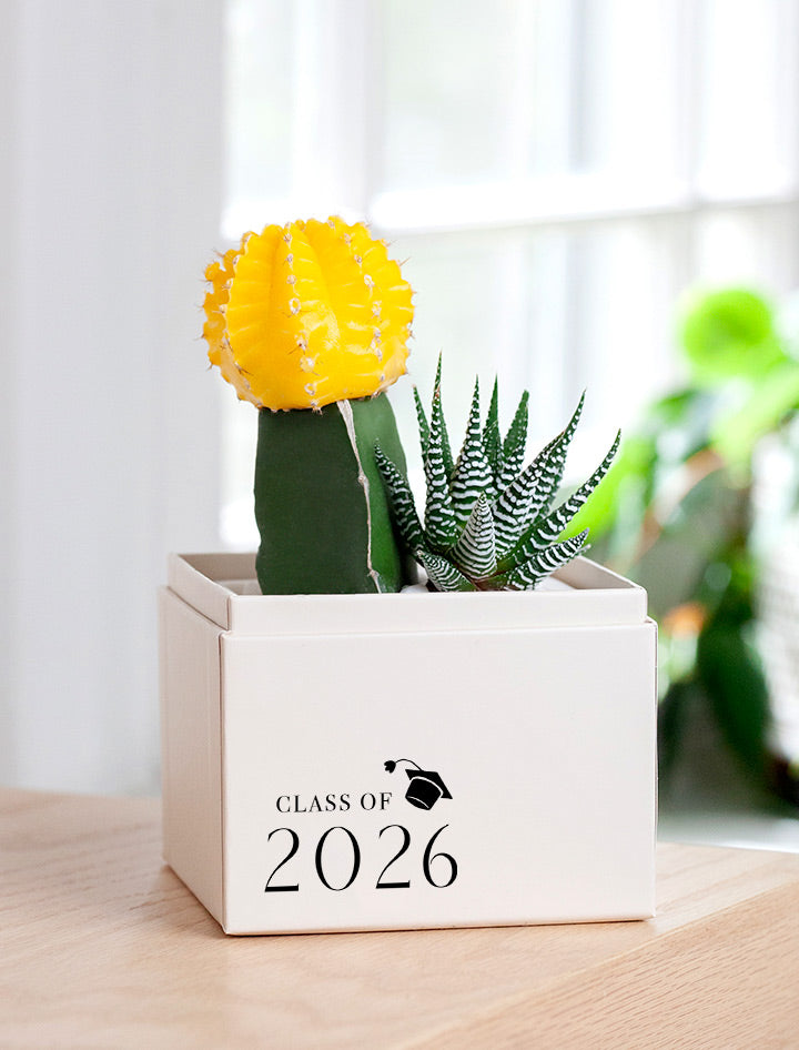 succulent graduation party Graduation Gift | Congratulations Gift Delivery | Succulent Plant Gift Delivery