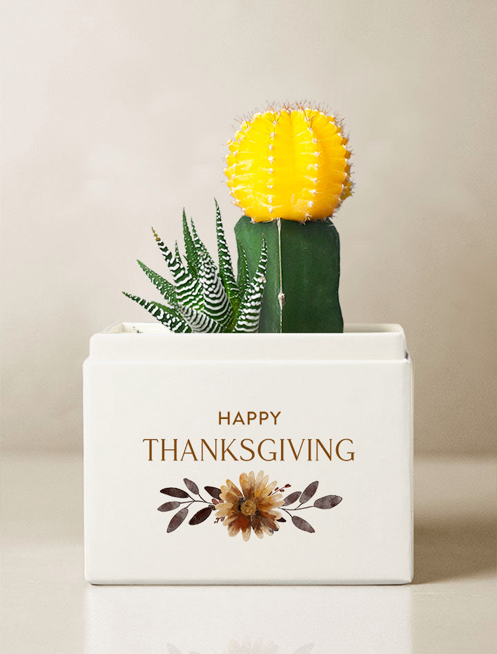 Thanksgiving Ray Garden