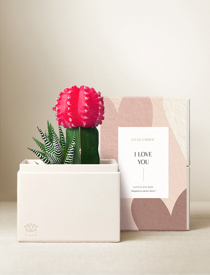 laura loves succulents Succulent Plant | Best Gift for Plant Lovers | Show your Love
