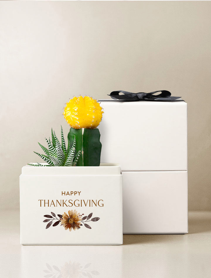 Thanksgiving Ray Garden