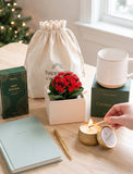 A cozy gift set arranged on a wooden table by a window, featuring a cream drawstring bag, a ceramic mug on a green box, a hot cocoa box, a notebook, a pen, a candle being lit with a match, and a small potted red plant. - Image 