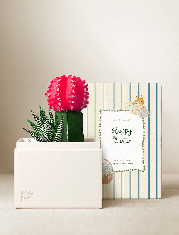 peace lily easter Plant Delivery | Easter Peace Lily by Lula's Garden