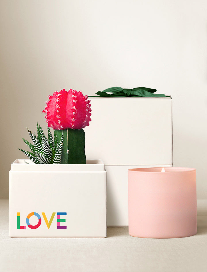 succulent garden candle Pride Garden & Candle | Succulent Plant Delivery
