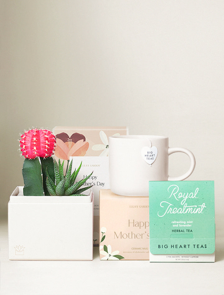 Mother's Day Rosé Garden Gift Set