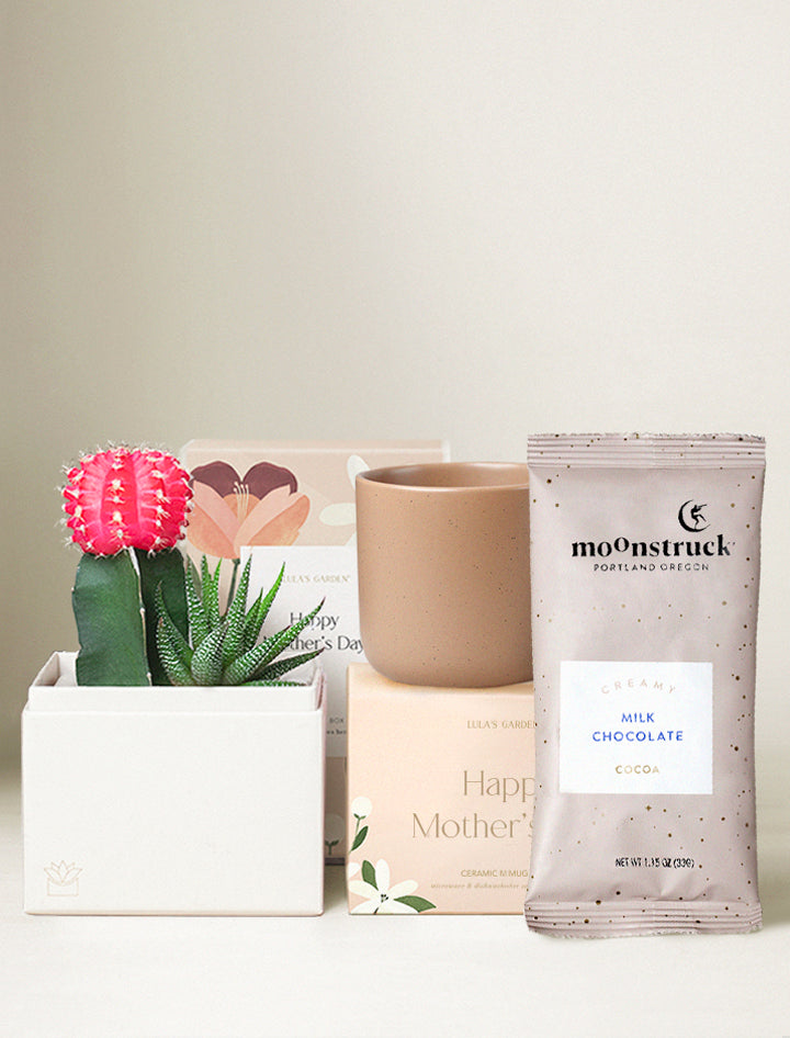 Mother's Day Rosé Garden Gift Set