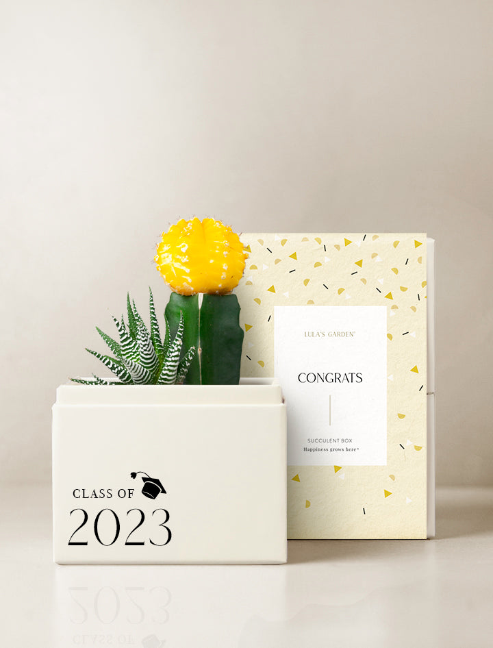 Graduation Ray Garden Gift Set