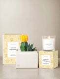 Furever Remembered Petite Gardens & Scented Candle - Image 