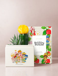 Strawberry Shortcake & Friends Garden
