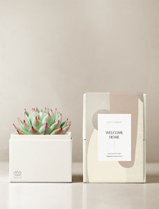 Welcome Home Bliss Garden Gift Set