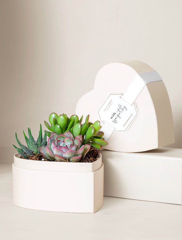 sympathy succulent gift delivery Succulent Heart Gifts | Succulent Gardens | Lula's Garden