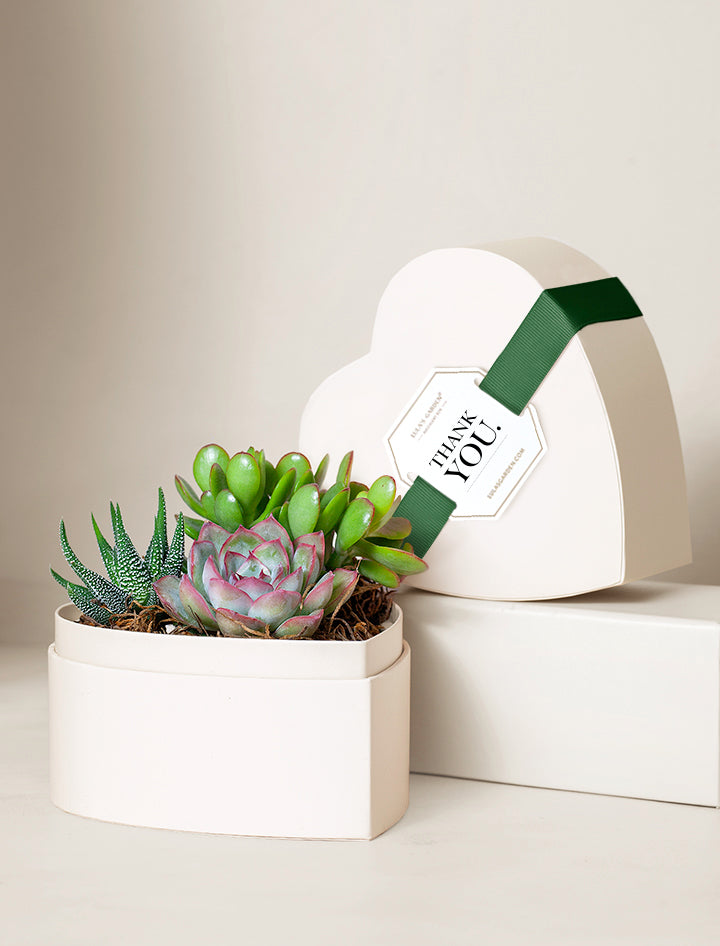 succulents gifts Succulent Heart Gifts | Succulent Gardens | Lula's Garden
