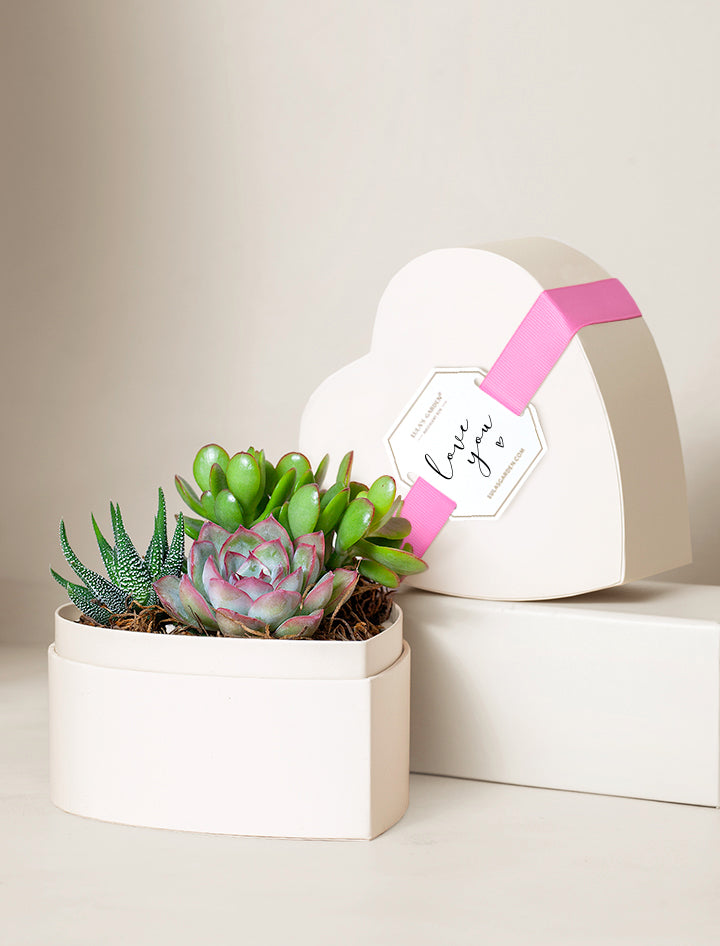 succulent gift subscription Succulent Heart Gifts | Succulent Gardens | Lula's Garden