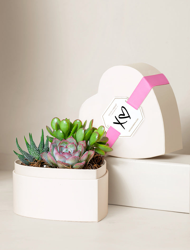 succulent valentines Succulent Heart Gifts | Succulent Gardens | Lula's Garden