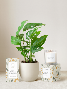 Forever Remembered Plant Gift Set