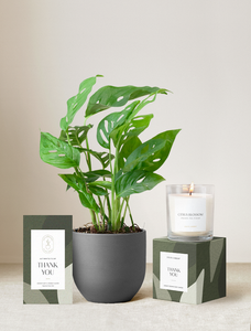 Thank You Plant Gift Set