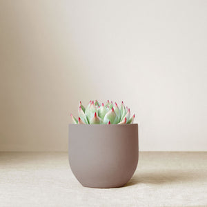 Ceramic Serene Garden