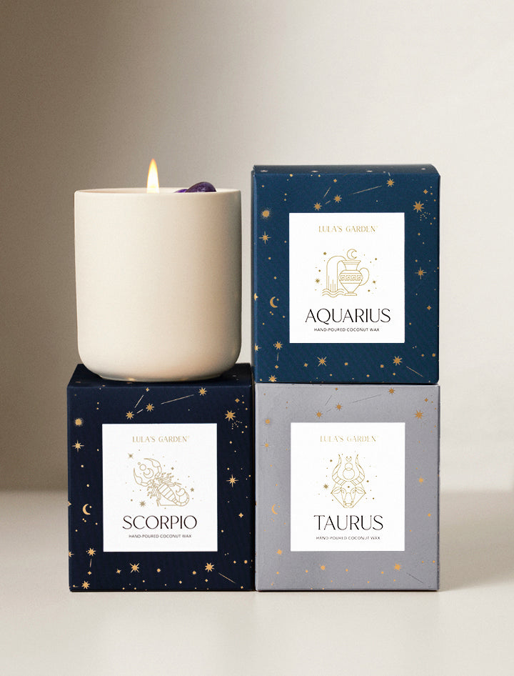 Zodiac Scented Candle | Succulent Gifting | Lula's Garden | Aries