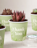 Lula's Favors 6-Pack Succulents - Thank You - Image 