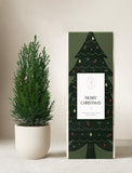 Christmas Mini Christmas Tree