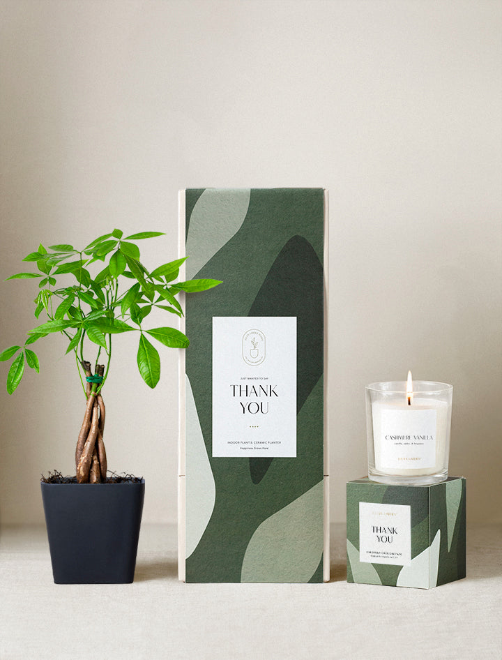 send house plants gifts Thank You Gift | Plant Gifts