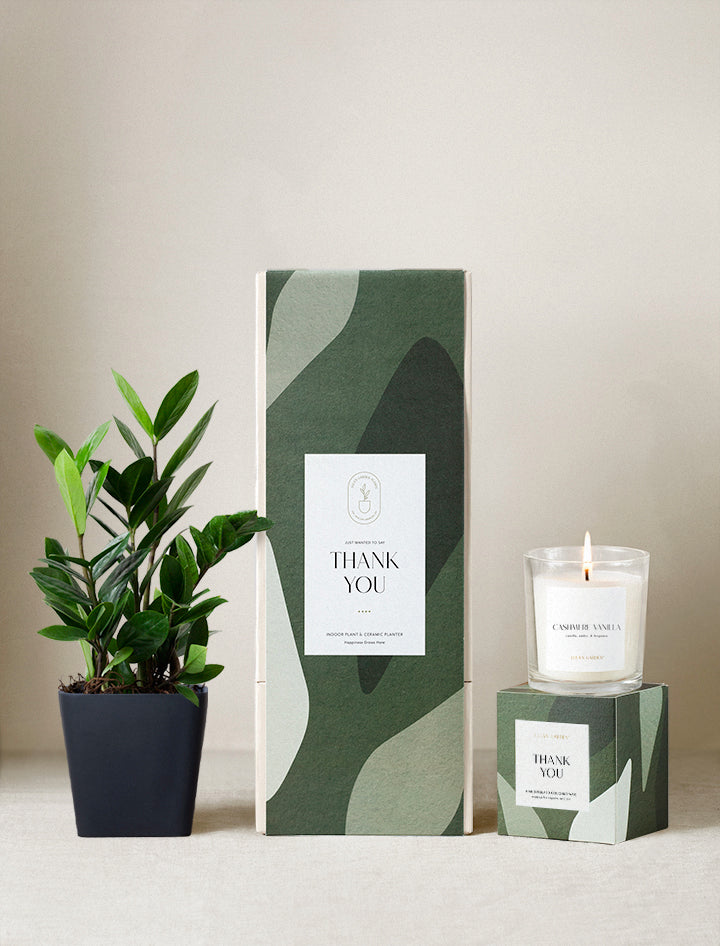 house plant gift Thank You Gift | Plant Gifts