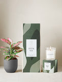 Thank You Plant Gift Set