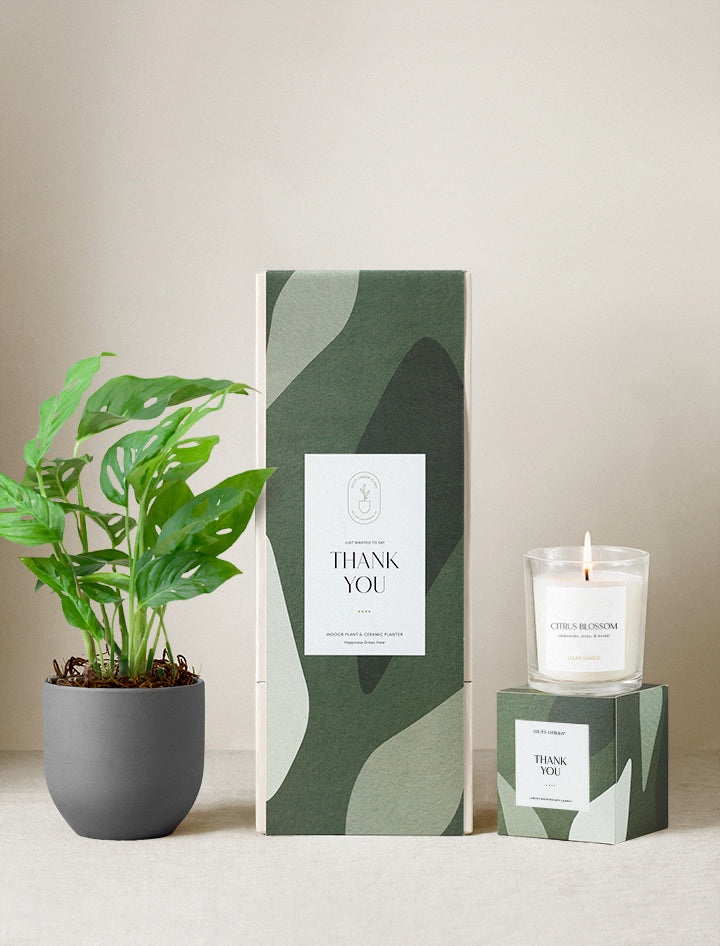 Thank You Plant Gift Set