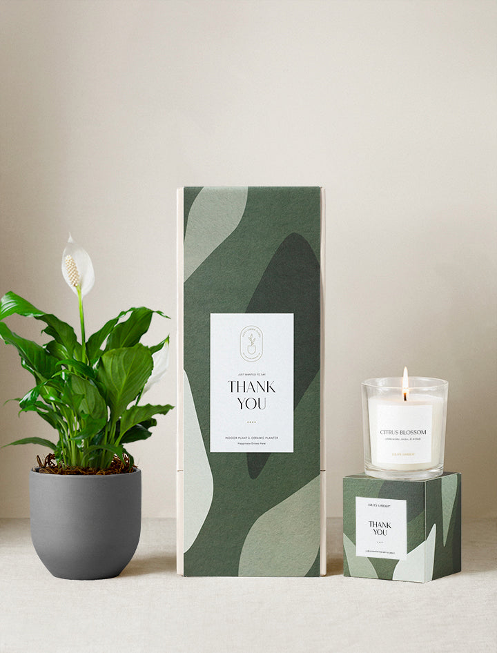 Thank You Plant Gift Set