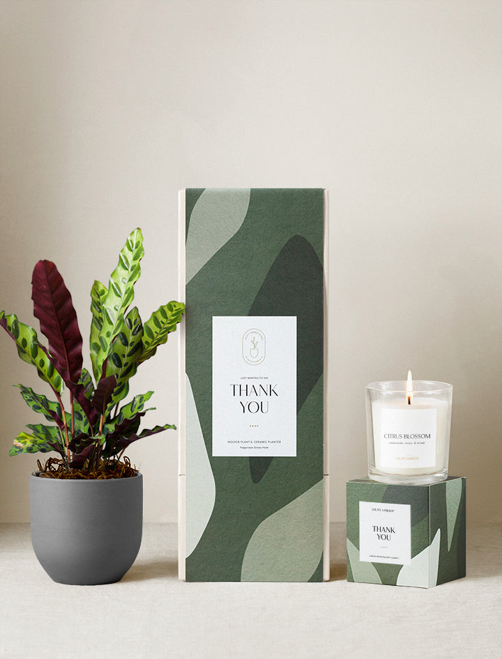 Thank You Plant Gift Set