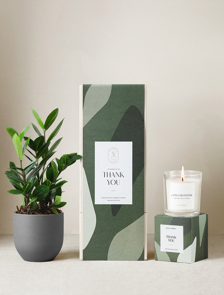Thank You Plant Gift Set
