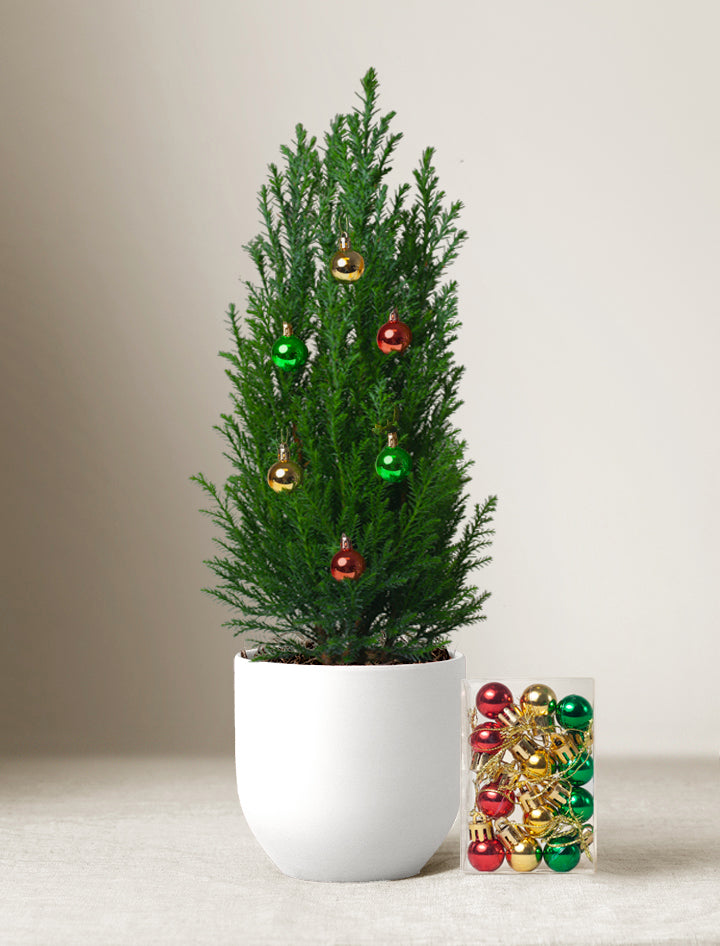 Mini Christmas Tree Ornaments