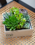 Father's Day Urban Garden - Image 