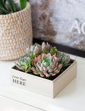 A square white planter box filled with pink and green succulent plants, placed on a white surface. The front of the box reads 'your logo HERE' in black text, and a woven basket planter is blurred in the background. - Image 
