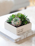 A square white planter box filled with small green succulent plants, placed on top of a white book. The planter has the text 'your logo HERE' printed on the front. - Image 