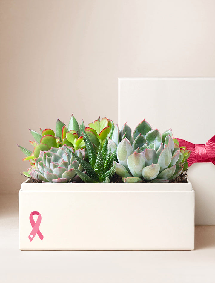Pink Ribbon Urban Garden