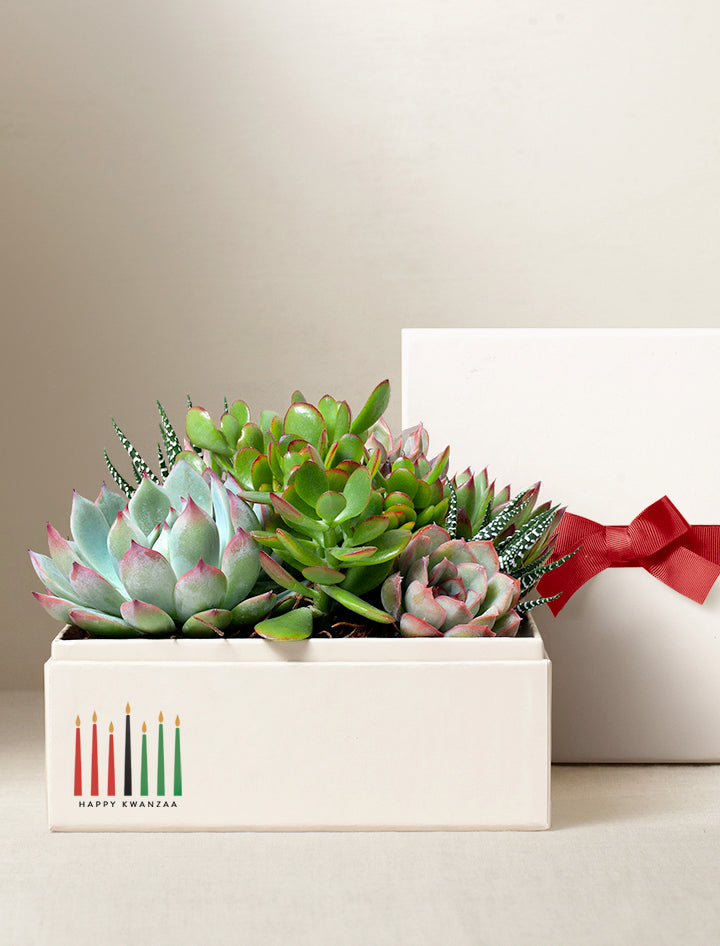 Kwanzaa Urban Garden