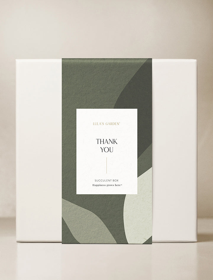 Dropship 50 Thank You Cards - Show Your Appreciation To Your Small