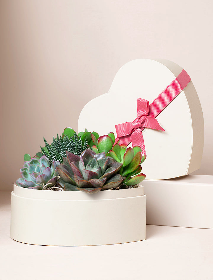 Valentine's Day Heart Garden